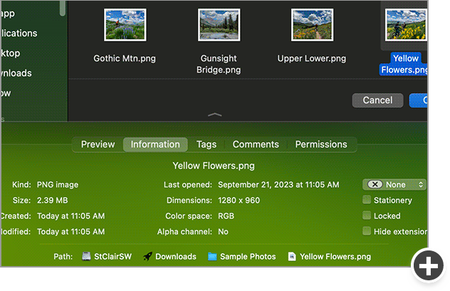 Panels below Open dialogs let you preview, change info, tag, comment and change permissions.